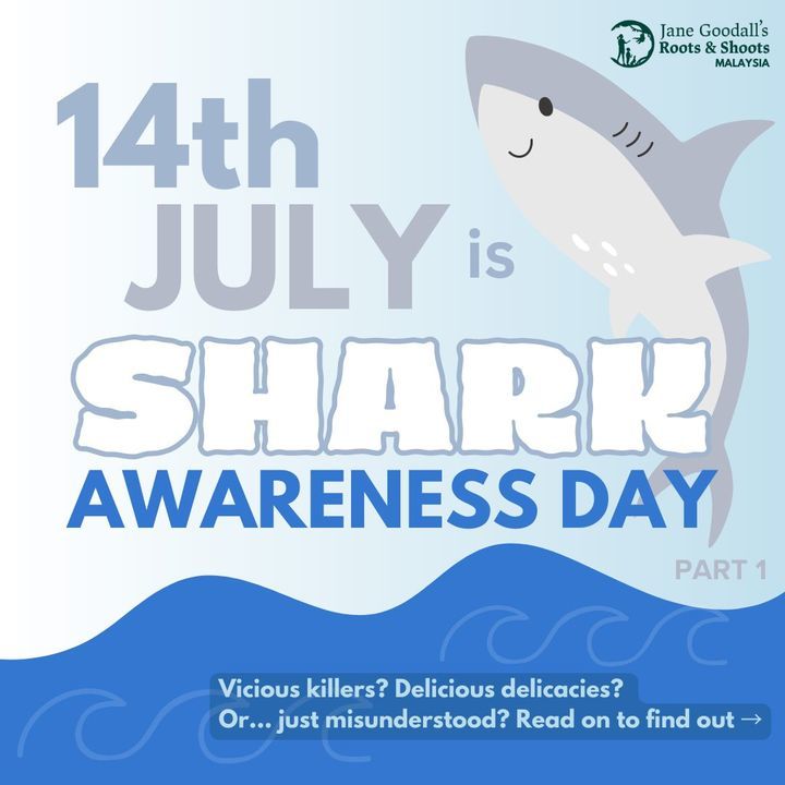 Did You Know 14th July Is Also Shark Awareness Day..