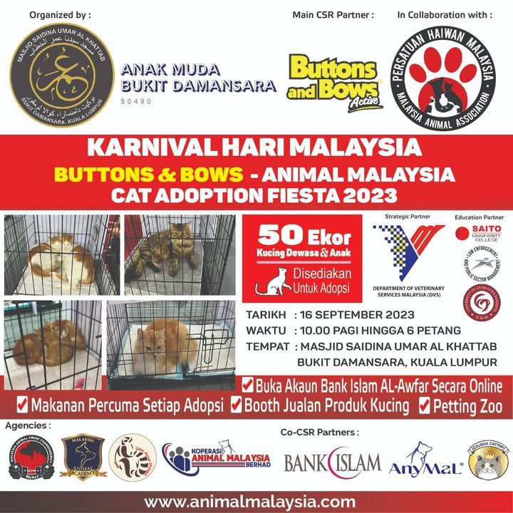 Buttons Bows – Animal Malaysia Cat Adoption Fiesta..