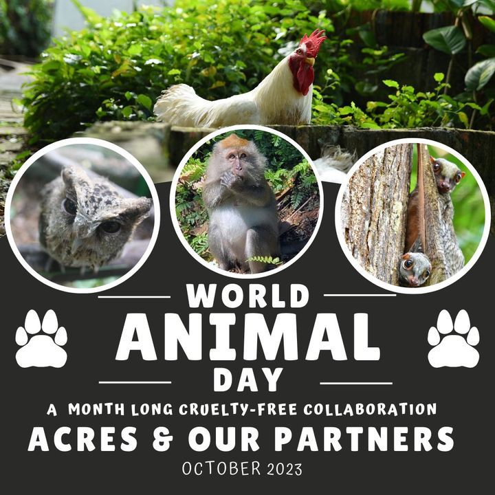 Calling All Animal-Loving Shoppers. This October, ..