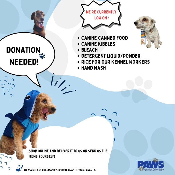 Join The Paw-Ty And Lend A Helping Hand To Ensure ..