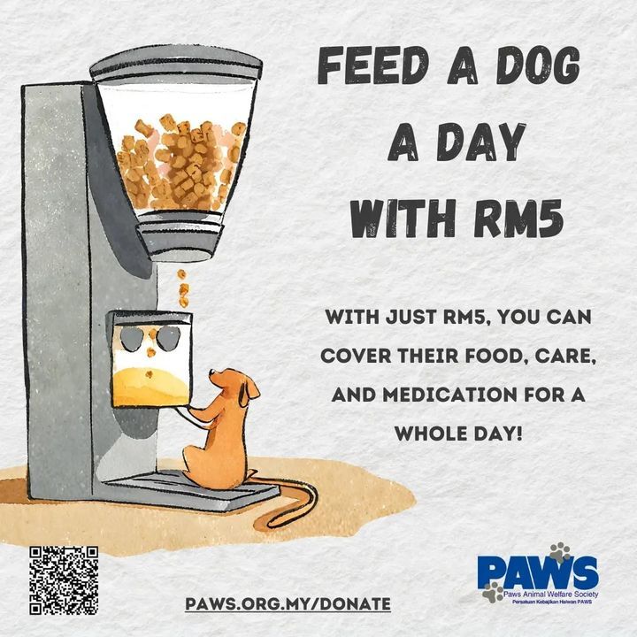 Donate â€“ Paws Malaysia