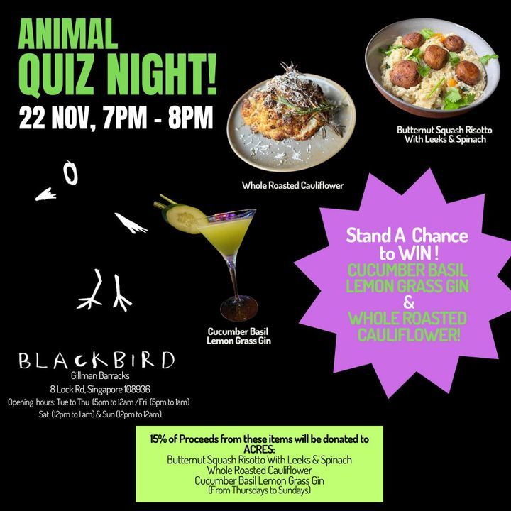 Quiz Night At The Blackbird Singapore. Join Us For..