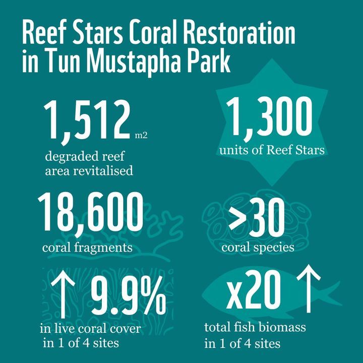 Tun Mustapha Park’s Coral Restoration Project Is A..