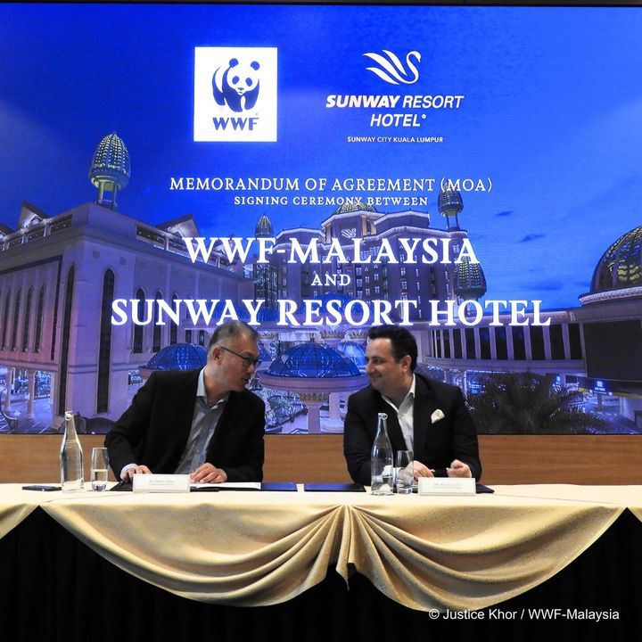 Sunway Resort Hotel Joins Forces With Wwf-Malaysia..