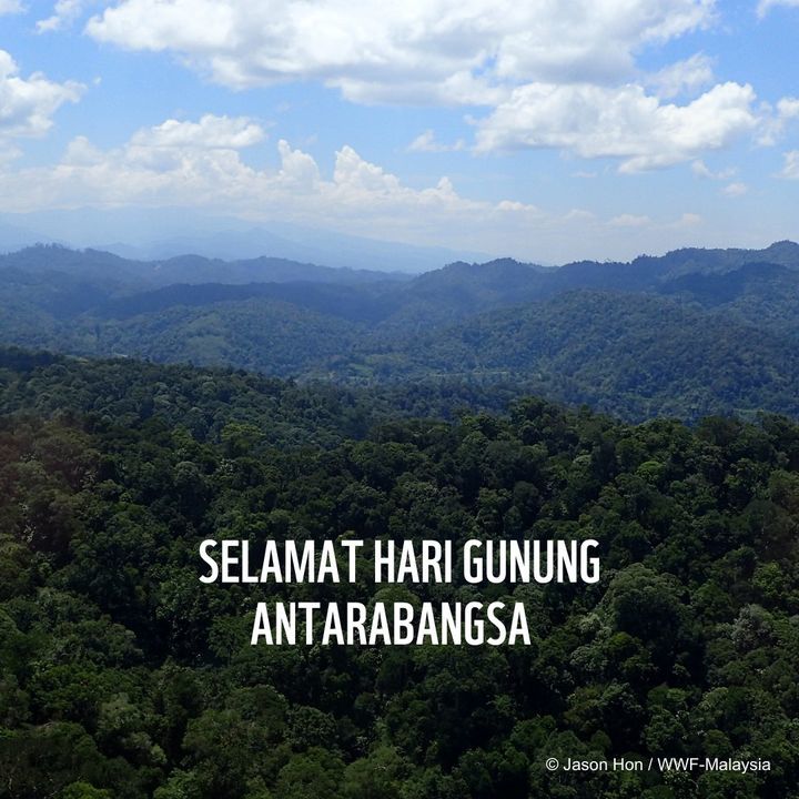 Selamat Hari Gunung Antarabangsa. Tahukah Anda Bah..