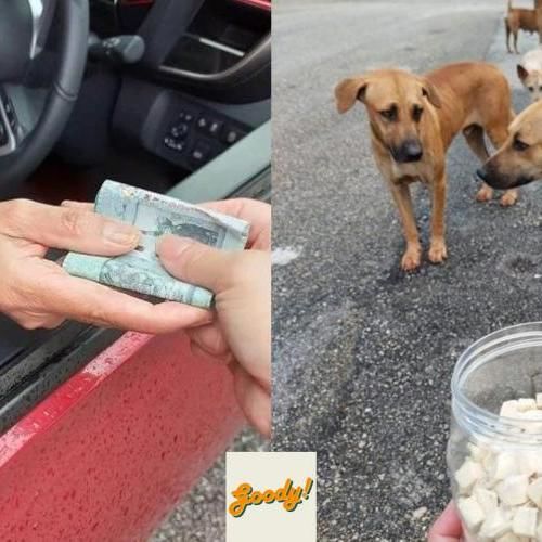 Malay Woman Donates Money To Chinese Woman To Help Feed Stray Dogs