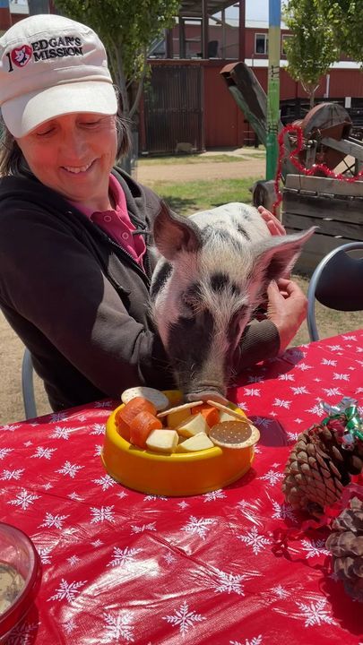 This Is The Only Way To Have A Pig At Christmas Lunch…