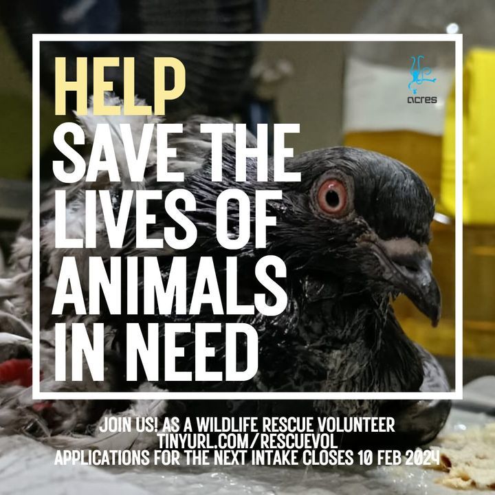 Help Save Lives. Are You Passionate About Animal W..