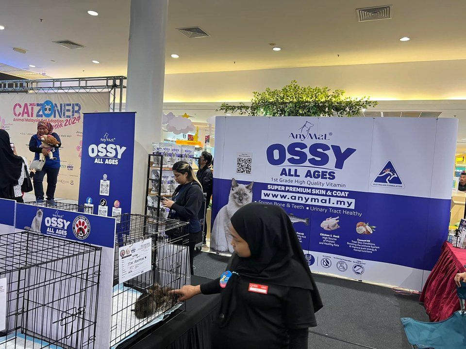 Anymalossy – Animal Malaysia Cat Adoption Fiesta 2..