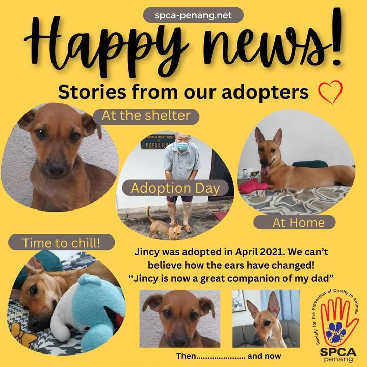 Happy News Time Our Adoption Families Have Been Se..