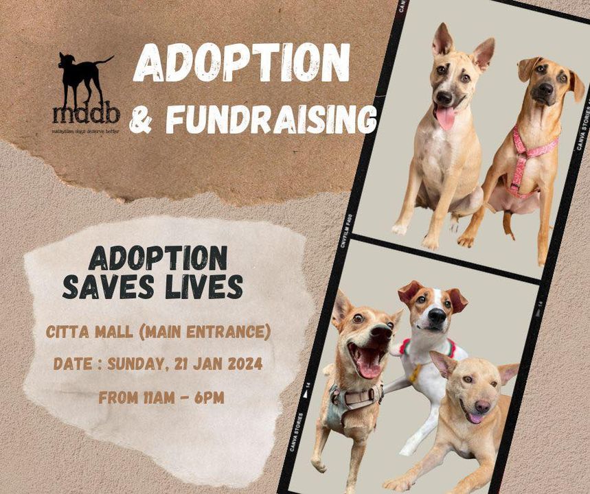 Save The Date Dog Adoption Fundraising Event. Mark..