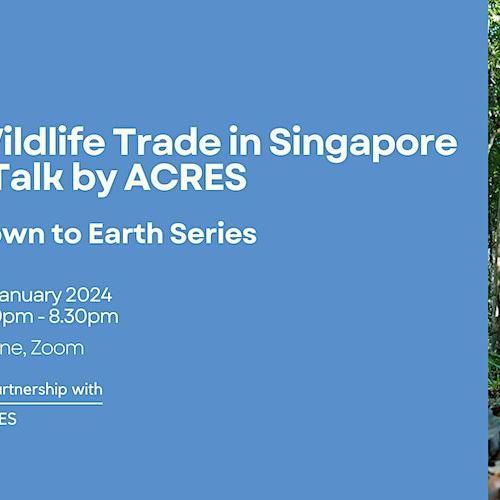 Wildlife Trade In Singapore – Talk By Acres