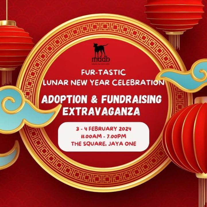 Fur-Tastic Lunar New Year Celebrations Mddb Adopti..