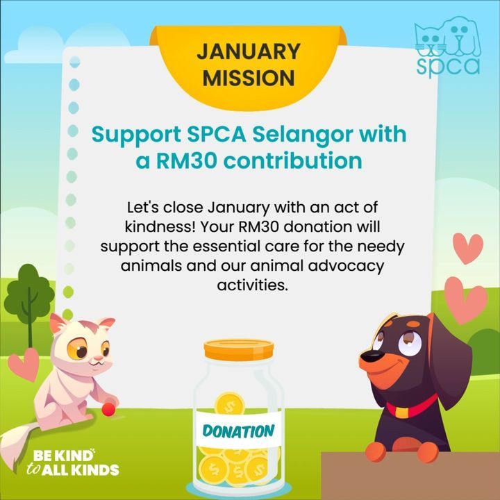 Support Now For A Brighter Pet Future Your Donatio..