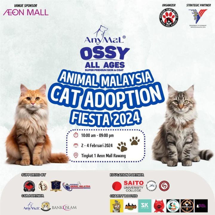 Kembali Lagi Anymalossy – Animal Malaysia Cat Adop..