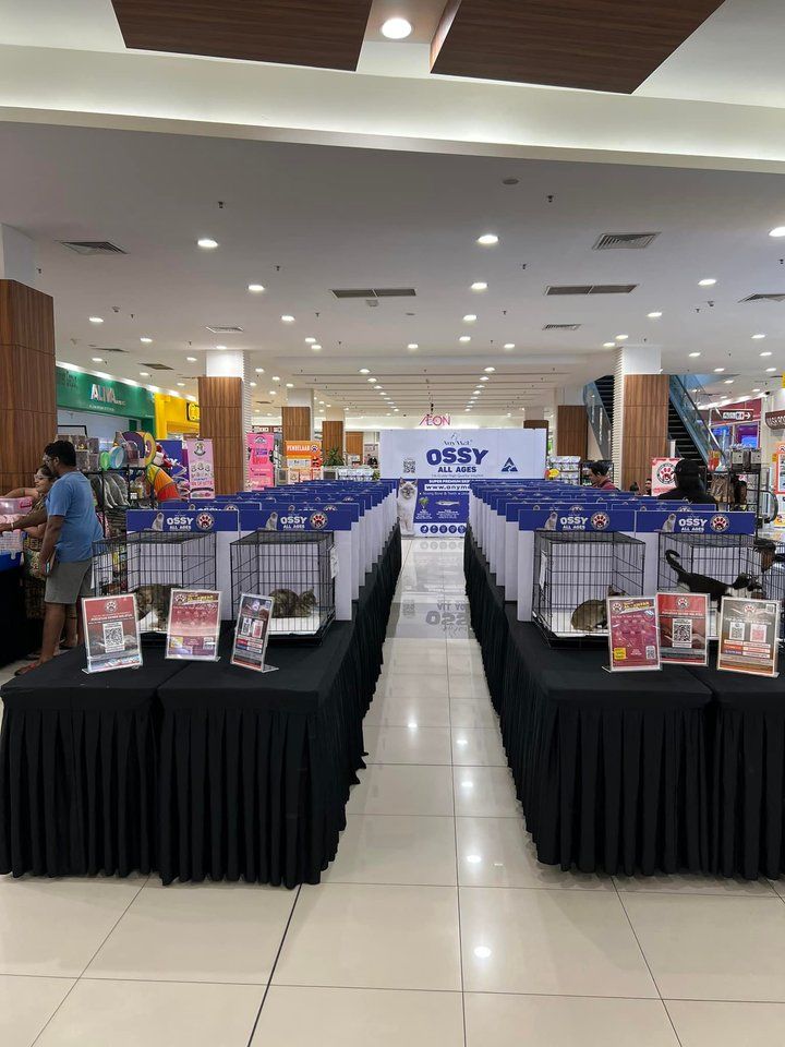 Mereka Semua Tidak Perlukan Shelter Tapi Perlukan ..