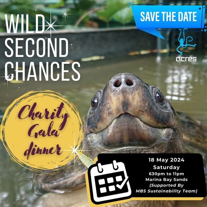 Reserve 18 May 2024 For Acres Gala Wild Second Cha..