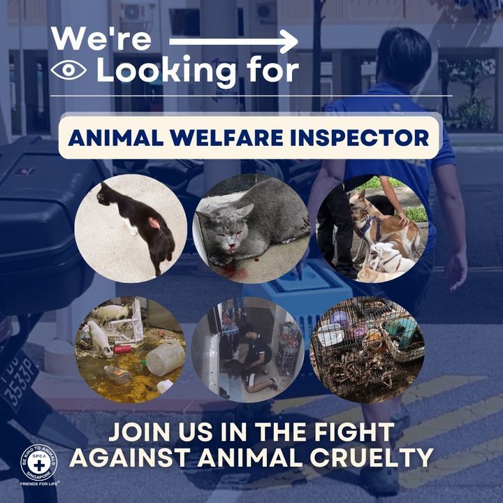 Join Us In The Fight For Animal Welfare In Singapo..