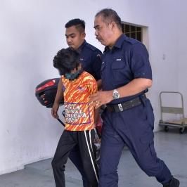 In Kajang, 13-Year-Old Boy Pleads Guilty To Setting Cat On Fire