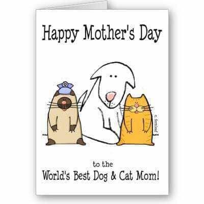 Happy Mother’s Day To All The Human Moms And Pet M..