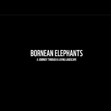 Bornean Elephants – A Journey Through A Living Landscape