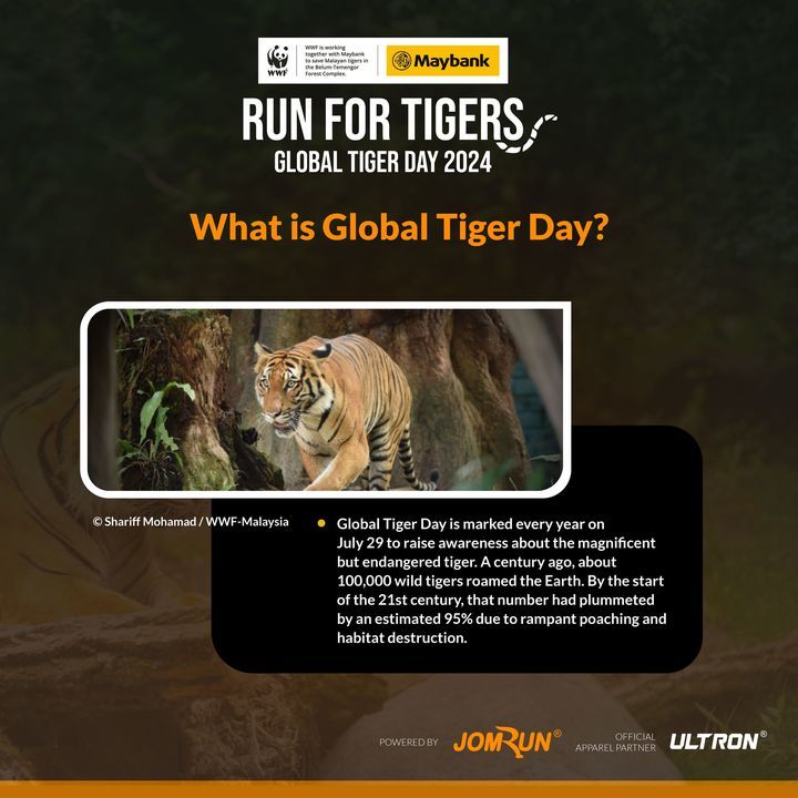 Dyk That Tigers Are Key To Healthy Forests, Which ..