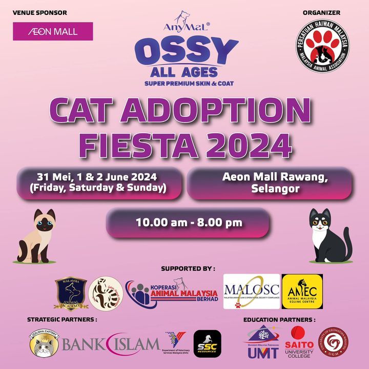 Anymalossy – Animal Malaysia Cat Adoption Fiesta 2..