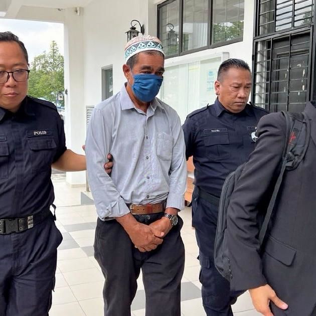 School Gardener Fined Rm2,500 For Causing Harm To Stray Dog | New Straits Times