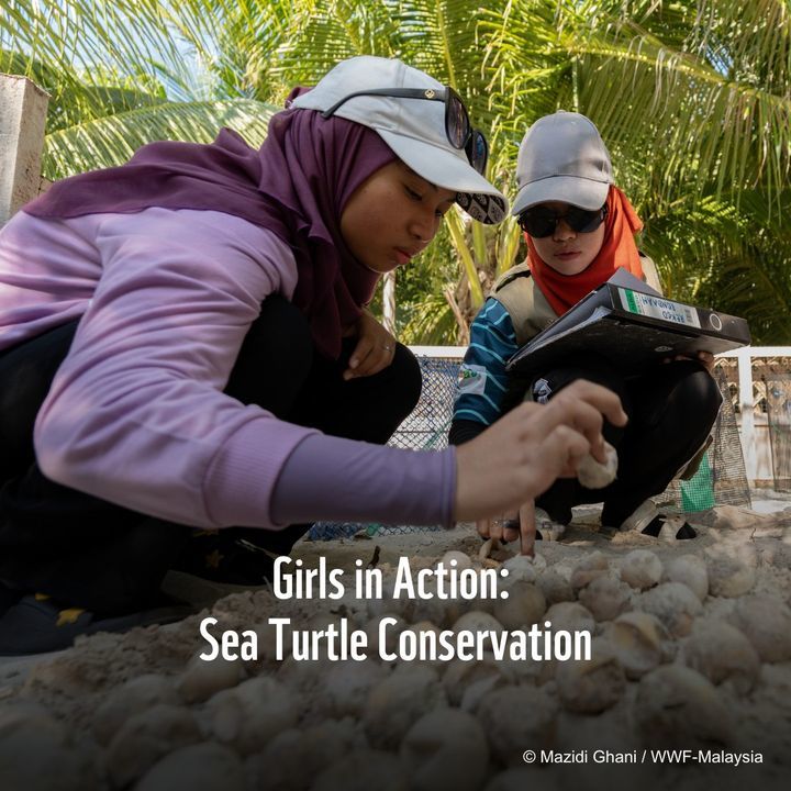 Girl Power Saving Sea Turtles. These Young Women F..