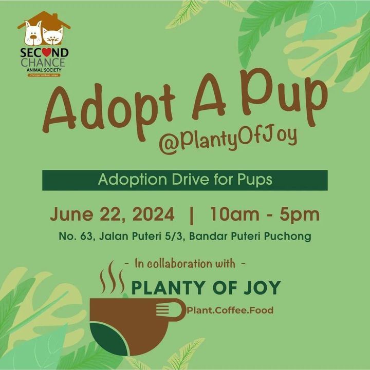 On This Lovely Weekend, Plantyofjoy_my Will Be Hav..