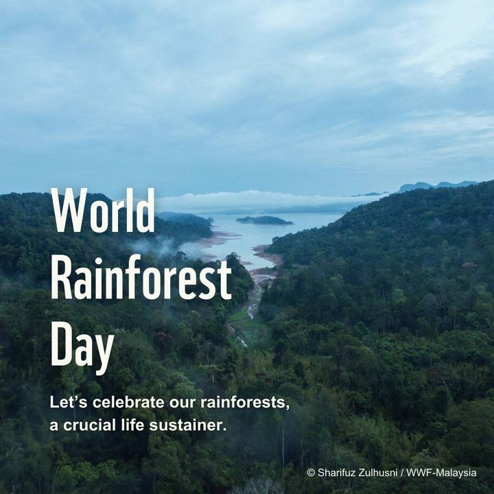 In Conjunction With World Rainforest Day On 22 Jun..