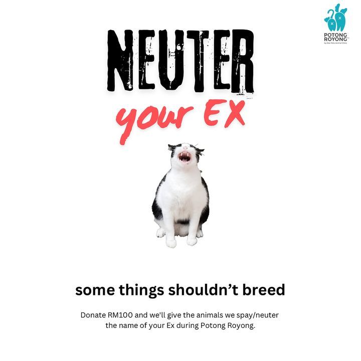 Neuter Your Ex Link At The Bottom. We Are Thrilled..