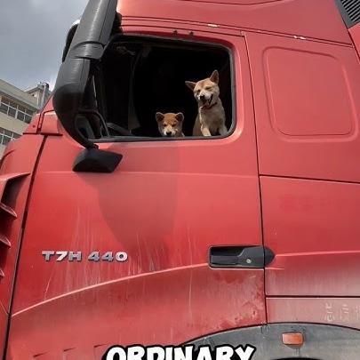 This Big Red Truck Is A Dog Haven