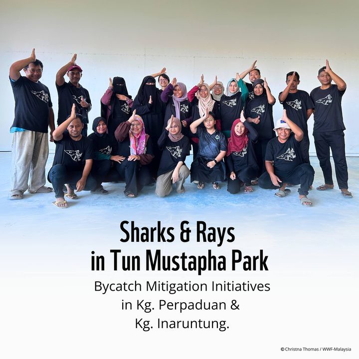 Together With Partners From Tun Mustapha Park, We’..