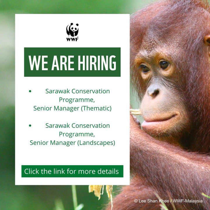 We Are Hiring. Come Join Us As We’re Looking For S..