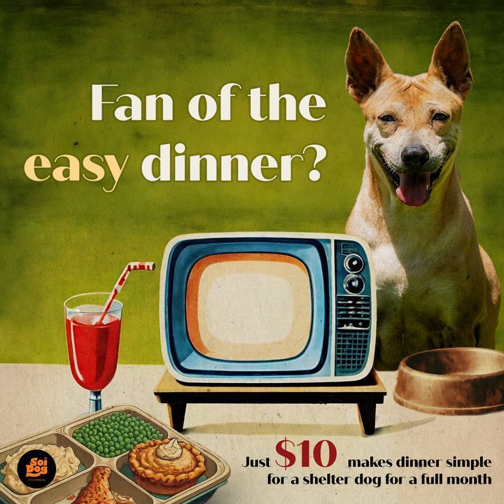 Fan Of The Easy Option? Then, Toss Dinner In The M..