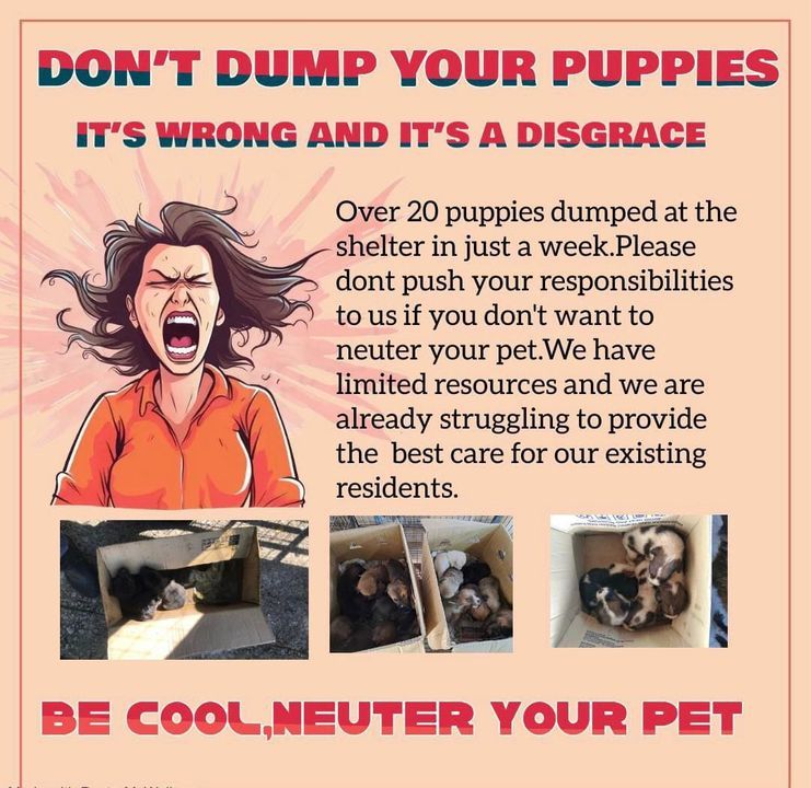 It Is Not A Sin To Neuter Your Pet. The Greatest S..