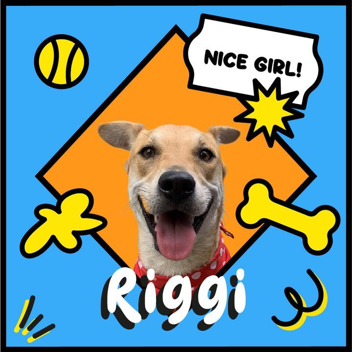 Meet Riggi, The Ultimate Princess Diva Who Prefers..