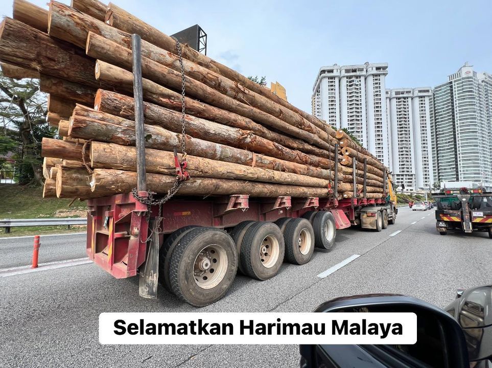 Selamatkan Harimau Malaya’. Jabatan Perhilitan Sem..