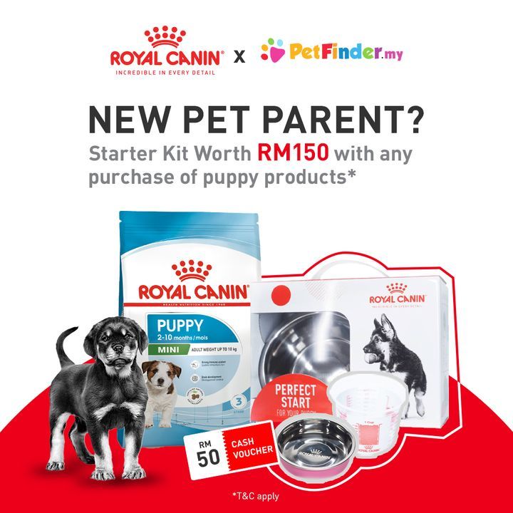 Have You Redeemed Royal Canin’s Pet Paw-Rent Start..