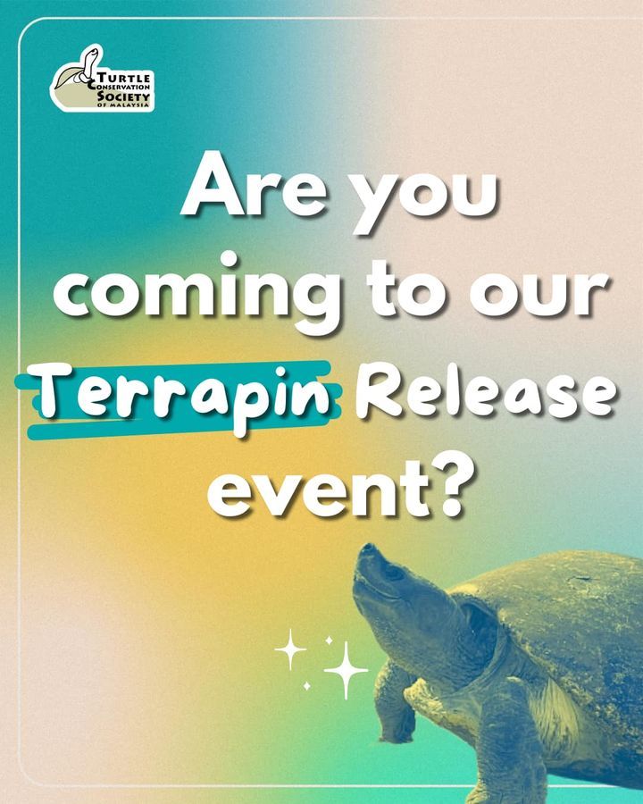 Get Ready For Our Annual Terrapin Release On Satur..