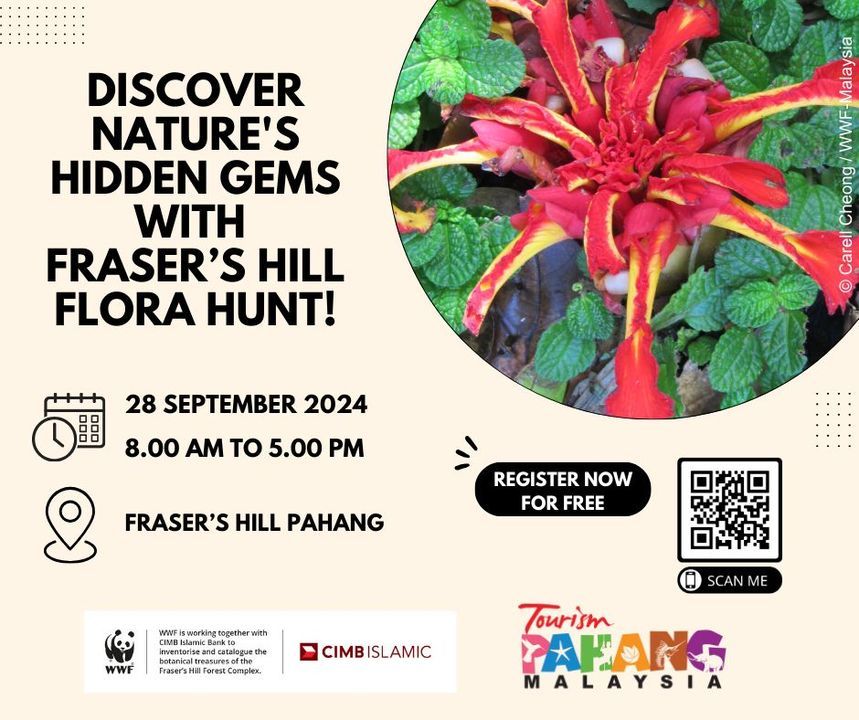 Discover Natures Hidden Gems With The First-Ever F..