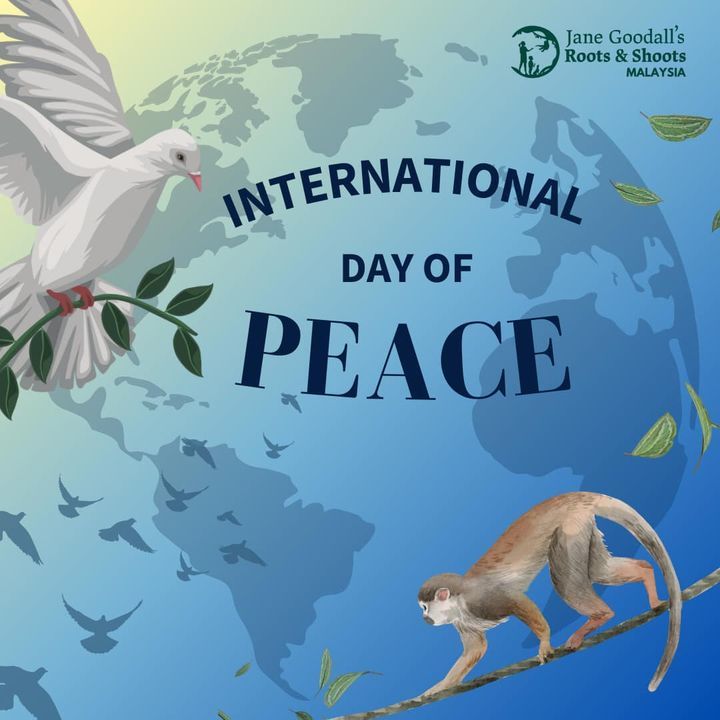 Happy International Day Of Peace. Imagine A World ..