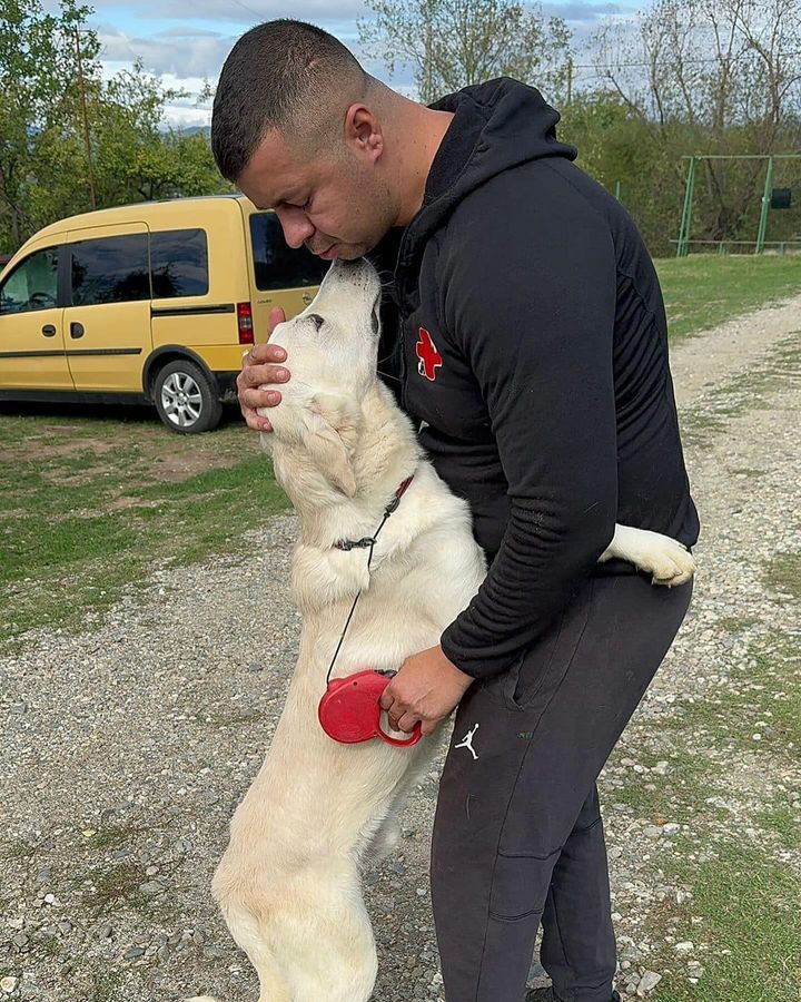 This Dog Was Rescued Yesterday From A Horrible Pub..