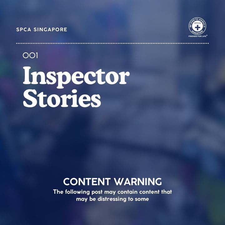 Inspector Stories. On 21 September, The Spca Recei..