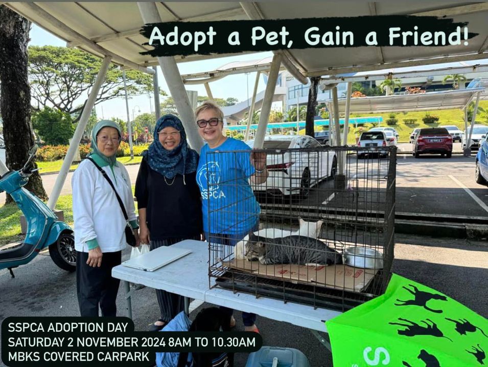 Adopt A Pet, Gain A Friend. Sspca Pet Adoption Day..