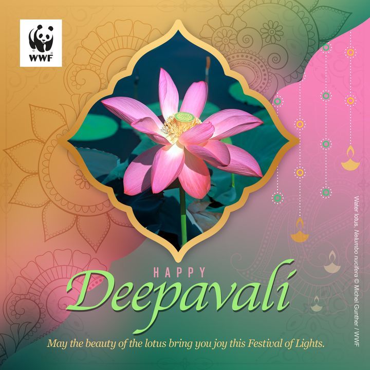 Happy Deepavali Wishes To Everyone Celebrating The..