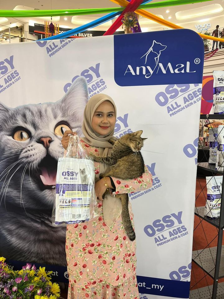 12 Ekor Kucing Galeri Animal Malaysia Telah Berjay..