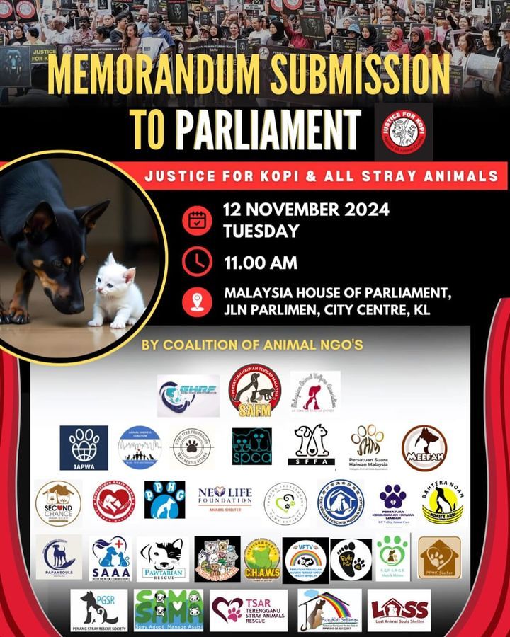 Stop Abuse Of Our Strays. Memorandum To Parliament..