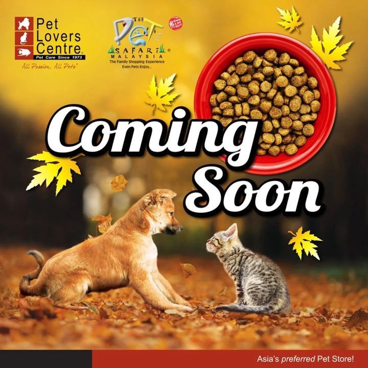 Pet Food Drive 2024 By Pet Lovers Centre. At Secon..